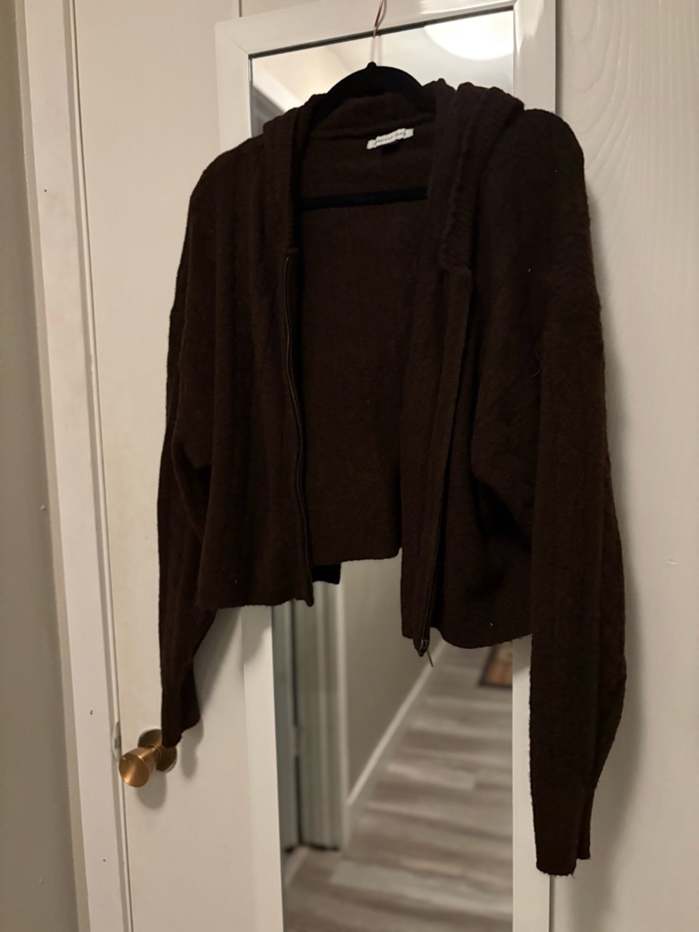 American Eagle Outfitters Dark Brown Hooded Zip Cardigan
